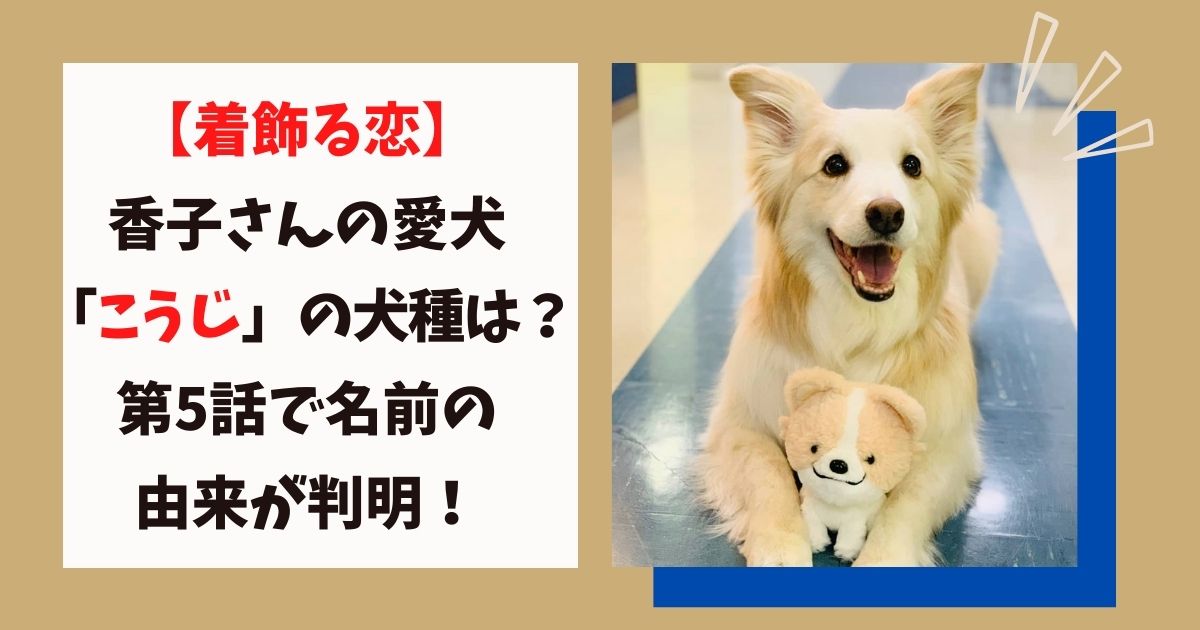 着飾る恋 香子さんの愛犬 こうじ の犬種は 第5話で名前の由来が判明 画像あり Candyのいいネタみっけ